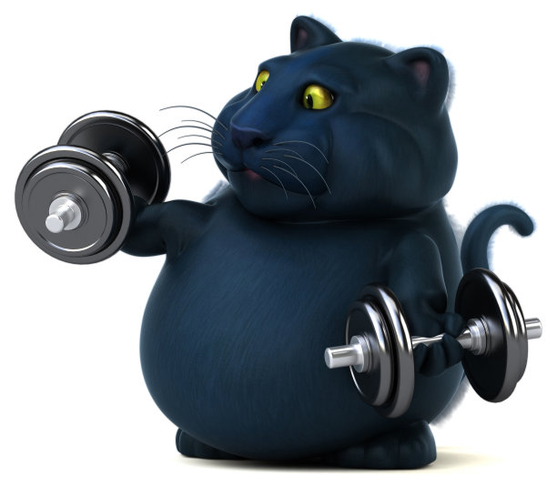 黑猫- 3D插图图片下载