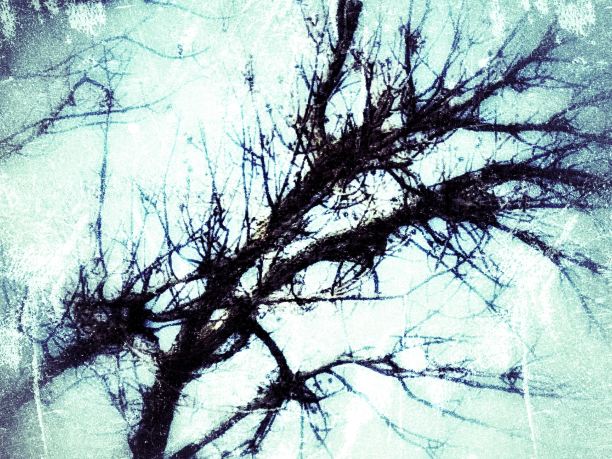 有芽的春枝-摘要图片下载