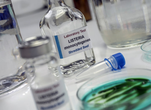 你们分析的样品是实验室里被李斯特菌污染的填充肉，在西班牙引起的芽图片下载