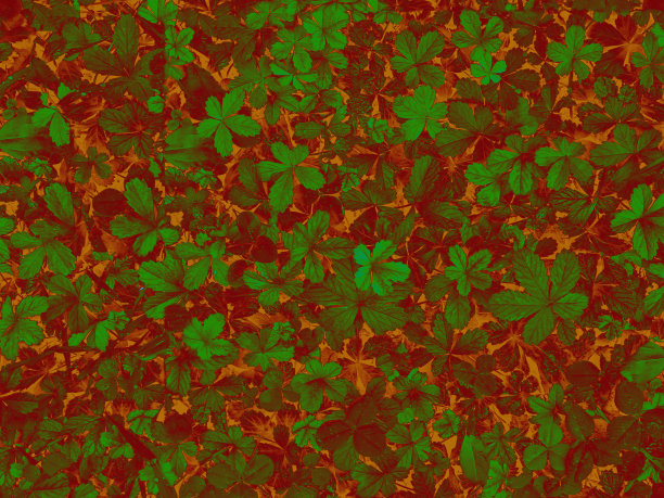 红色和绿色叶片纹理的自然背景图片下载
