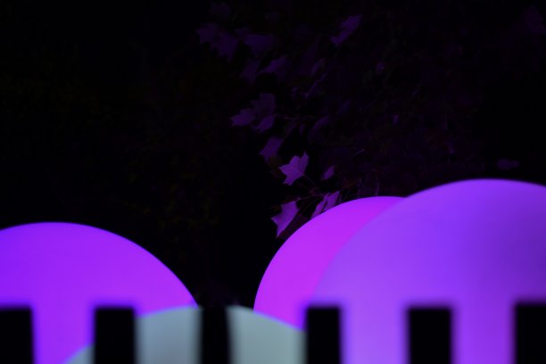 夜光球、树枝和黑暗中的栅栏。图片下载
