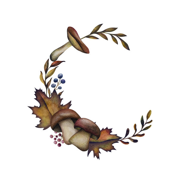 秋天的植物和蘑菇花环。图片下载