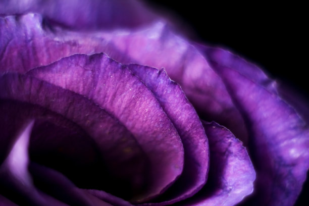 模糊图案为设计师。图片下载