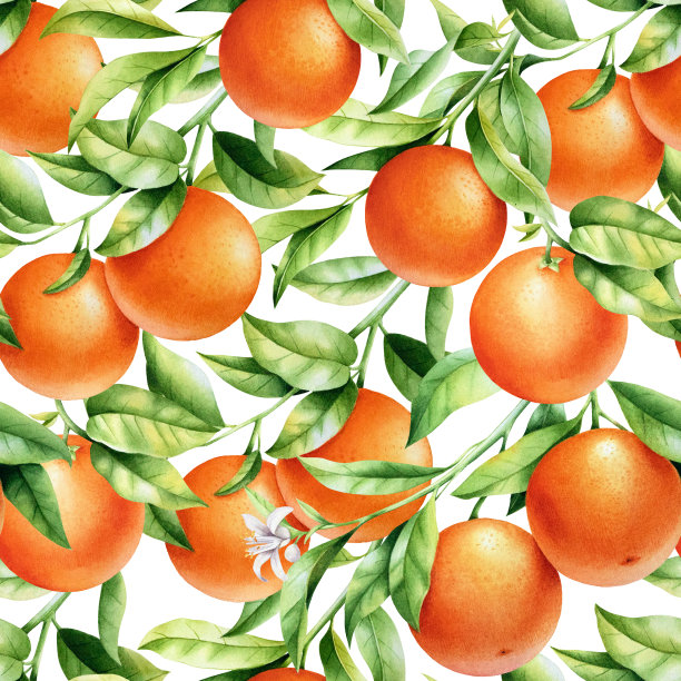 橙子在树枝上无缝的背景。水彩图案的柑橘叶，水果和花。图片下载