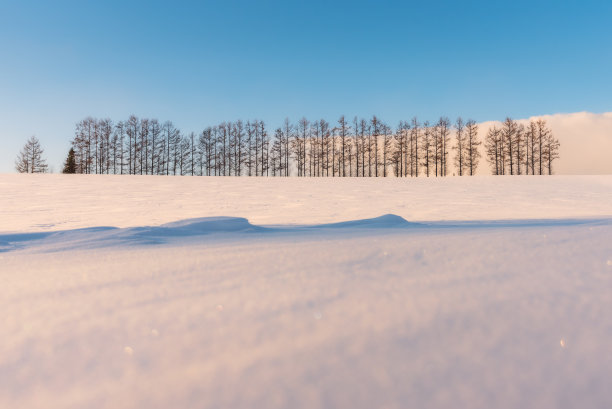 有雪的冬天背景图片下载