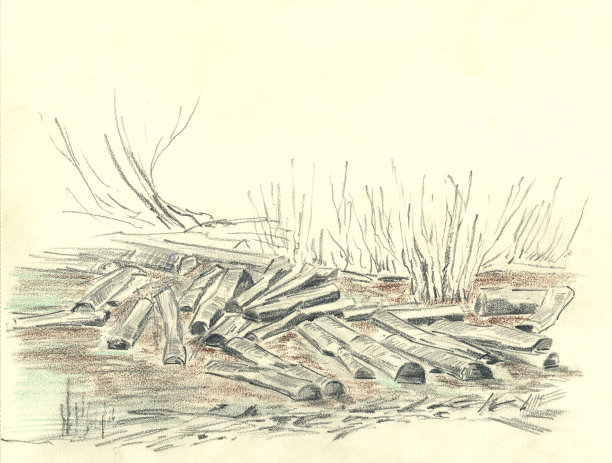 水里有一堆木头图片下载