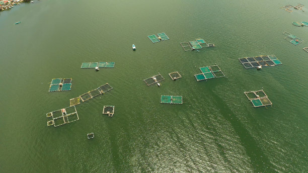 菲律宾塔尔湖上的渔场图片下载