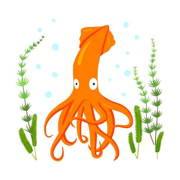 鱿鱼扁平，白色背景上有斑点和藻类。图片下载