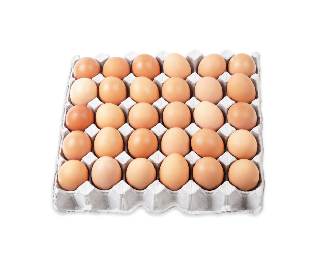 鸡蛋放在纸箱里图片下载