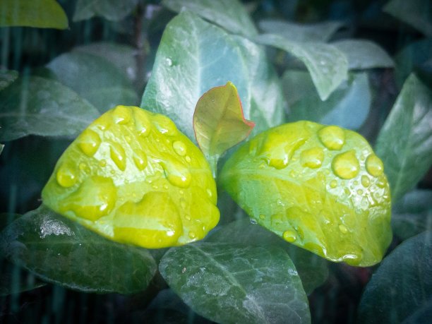 早上淋浴图片下载