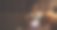 怀孕的母熊用手电筒和她未来的宝宝玩耍图片下载