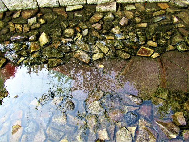 倒影在美丽的小溪里。日本千叶柏川市图片下载