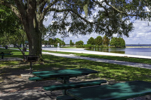 圣克劳德佛罗里达湖畔公园野餐桌，烤架，橡树和湖边的海滩图片下载