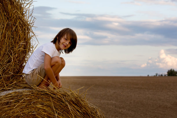 快乐的孩子们，夏天在干草堆上玩耍图片下载