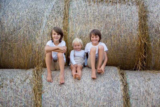快乐的孩子们，夏天在干草堆上玩耍图片下载