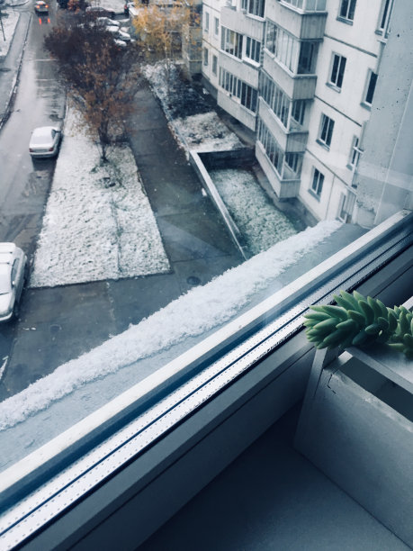 城里的第一场雪。图片下载