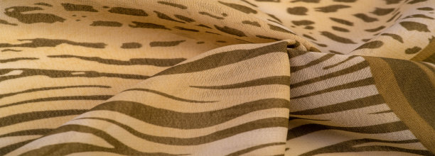 纹理，图案，收藏，丝绸织物，非洲主题，动物皮毛，棕色调，水彩背景照片印刷道具公主女孩生日图片下载