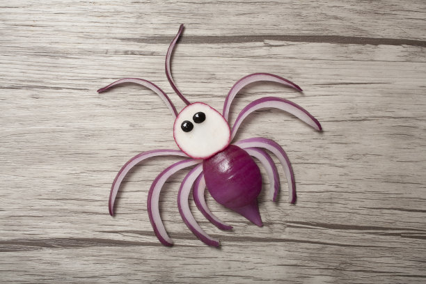 用红洋葱制作蜘蛛的创意收据图片下载