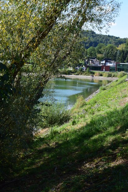 鲁西·阿尔·鲁尔伯格图片下载