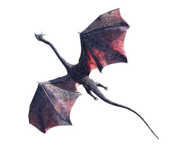 龙，有翅膀的生物飞行，俯视图孤立在白色背景，俯视图(3d幻想渲染)图片下载