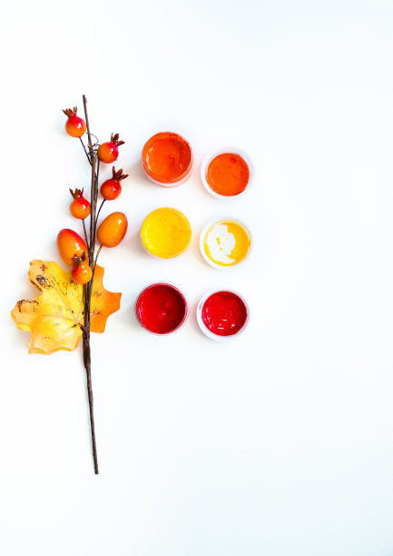 明亮的秋天的颜色，开放丙烯颜料和装饰树枝与浆果和树叶在白色的背景，特写，复制空间，平铺图片下载