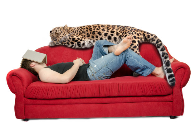 幻想场景——一个年轻人与书和豹子睡在沙发上图片下载