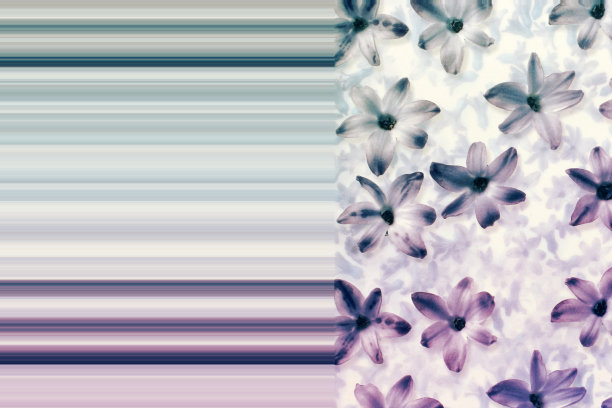 淡紫色花的背景图片下载