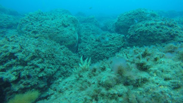 大西洋的观点图片下载