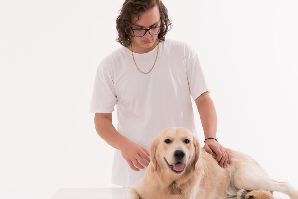 年轻的宠物主人在动物医院等待体检图片下载