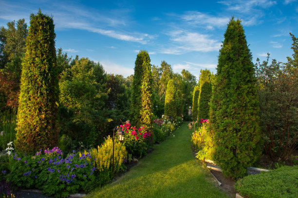 在植物园里图片下载