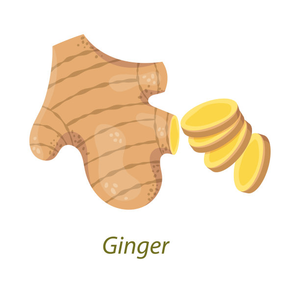 生姜根白色孤立。用于医药，制药，烹饪，美容，图片下载