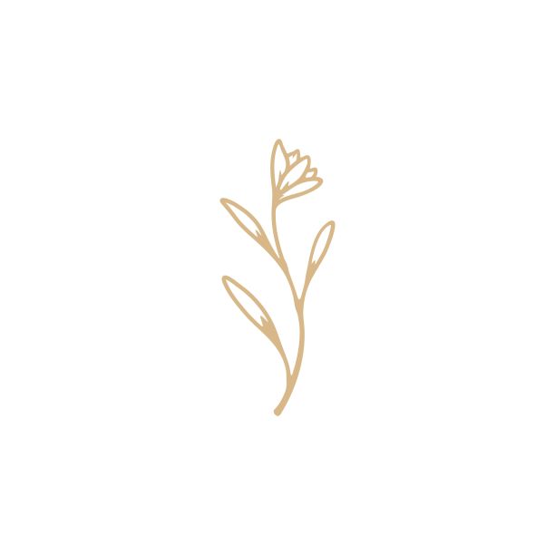 素雅美丽花设计图片下载