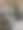 白雪覆盖的圣诞树图片下载