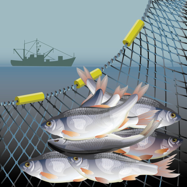 渔业海报矢量图片下载