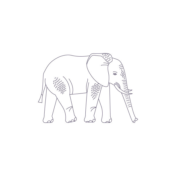 线条风格象的图标。素材图片