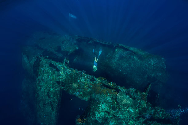 自由潜水者在沉船水下潜水。年成为了在海洋图片下载