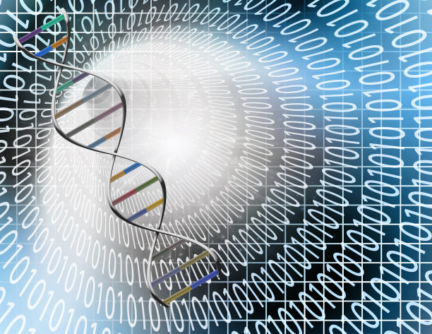 双隧道和DNA链图片下载