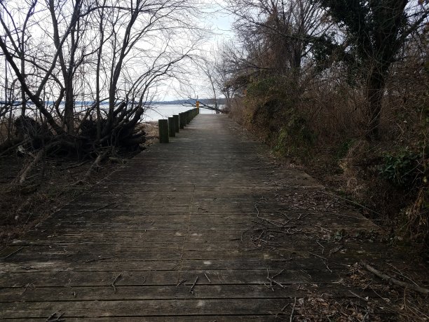 位于弗吉尼亚州亚历山德里亚的波多马克河沿岸的木板路或码头图片下载
