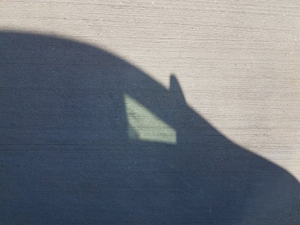 灰色混凝土上汽车和窗户的影子图片下载