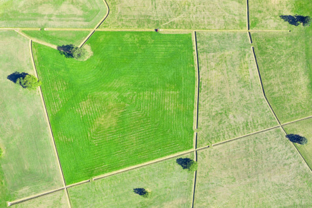 绿化草坪，公园顶部鸟瞰图图片下载