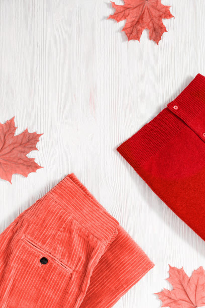 秋天舒适的衣服。时髦的灯芯绒粉色裤子和温暖的红色夹克在白色木制背景。女性服装色彩趋势。时尚的概念。平的。前视图。图片下载