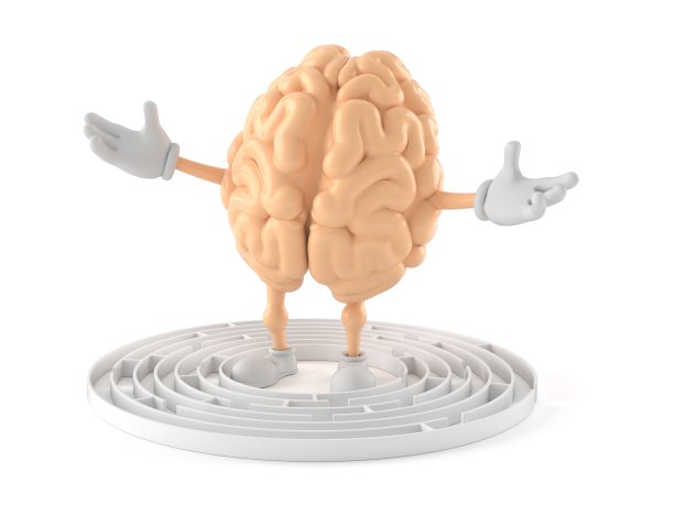 迷宫内的大脑特征图片下载