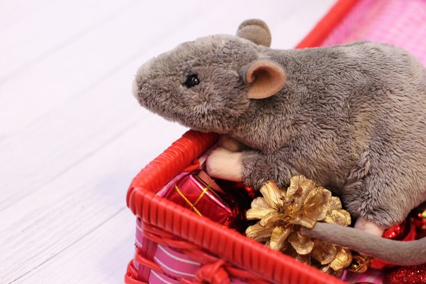 毛绒玩具灰色老鼠在一个装有圣诞玩具的盒子里图片下载