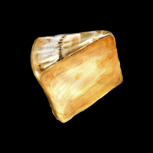 佩科里诺罗马诺奶酪水彩插图在黑色的背景图片下载