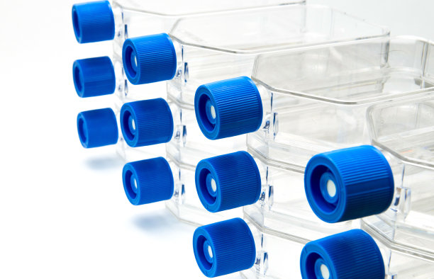用于实验室科学研究的带通气盖的组织细胞培养瓶的堆叠图片下载