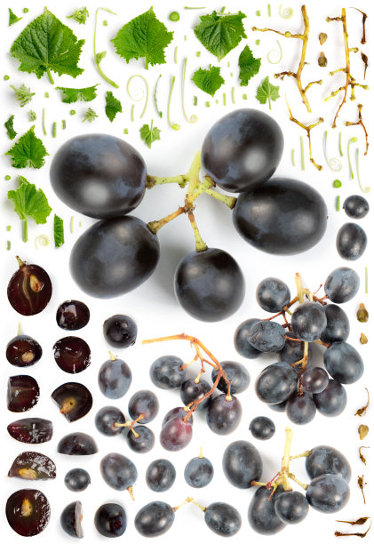 葡萄酒收藏摘要图片下载