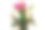 一束模糊的春花。图片下载