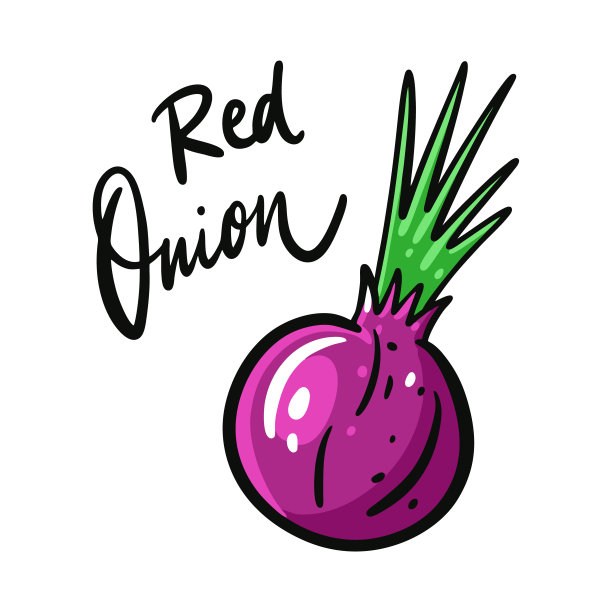 红洋葱手绘矢量插图和字母。孤立在白色背景上。图片下载