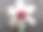 手工编织羊毛白色花在灰色背景特写图片下载