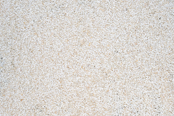 大量生芝麻的特写图片下载